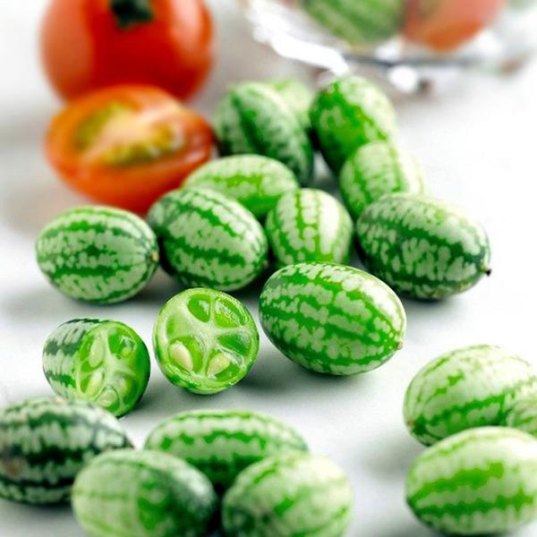 100 Pcs Rare Mini Watermelon Cucumbers Seeds Vegetables Fruit Thumb Water Melon Seeds Taste Cucumbers Pepquinos Bonsai Plants