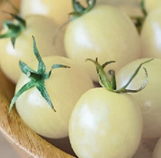 Rare Tomato Seeds 100pcs/pack