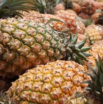 Pineapple Seeds, 100pcs/pack