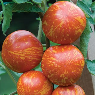 Cherry Tomato Seeds, Multi-Varieties, 200pcs/pack