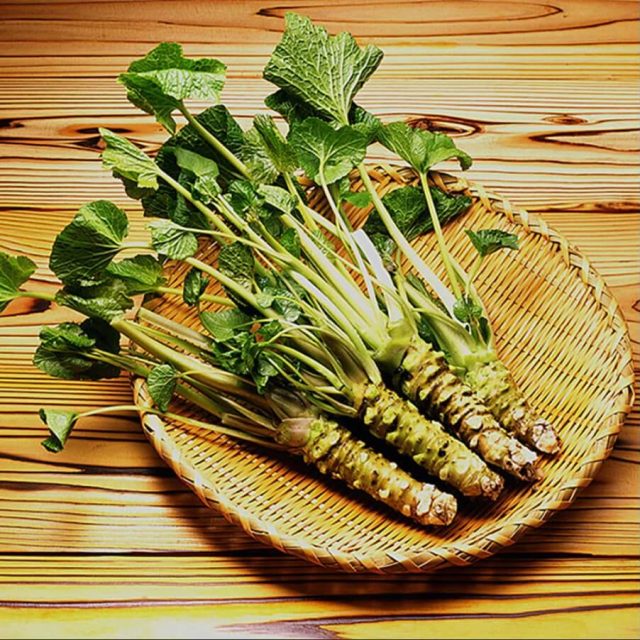 Wasabi Seeds, Horseradish Seed, 200pcs/pack