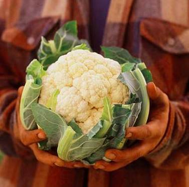 Snowy Cauliflower Seeds, VegetableSeeds, 100pcs/pack