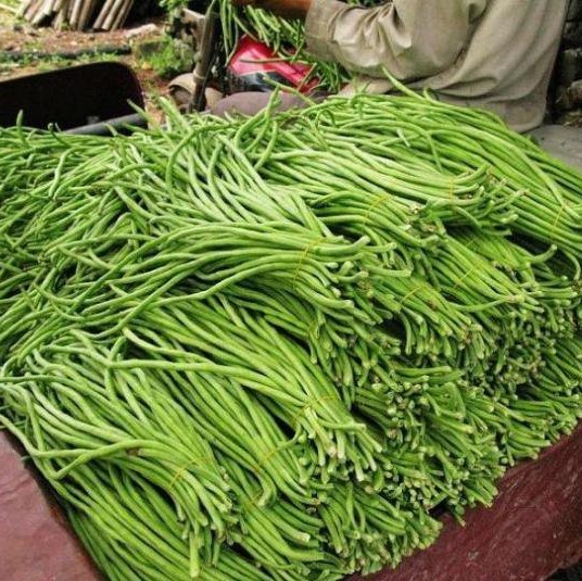 Cowpea Seeds, Long Beans Vegetable Seeds, 20pcs/pack