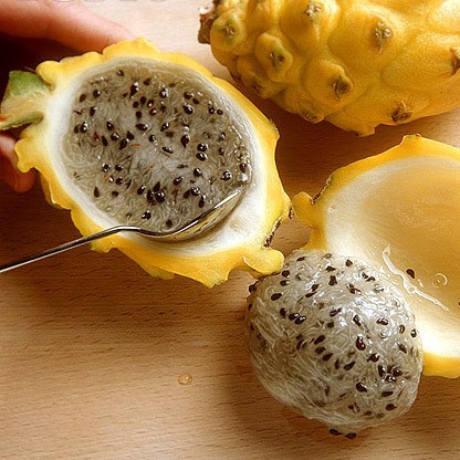 Rare Yellow Pitaya Seeds, Yellow Dragon Fruit Seeds, 50pcs/pack