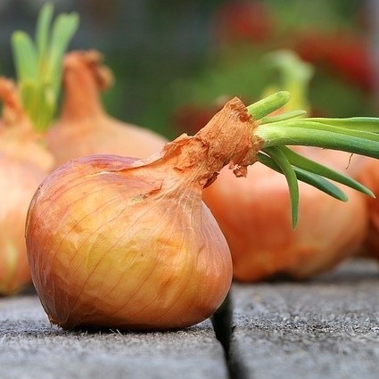 Mixed Onion Seeds, Red Onion Seeds, Vegetable Seeds 100pcs/pack