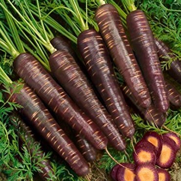 Rainbow Carrot Seeds, 100pcs/pack