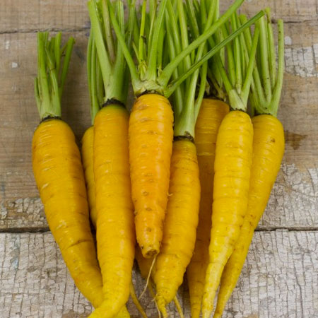 8 Colors Carrot Seeds, 100pcs/pack